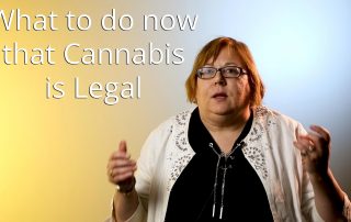 Canadian model drug and alcohol policy